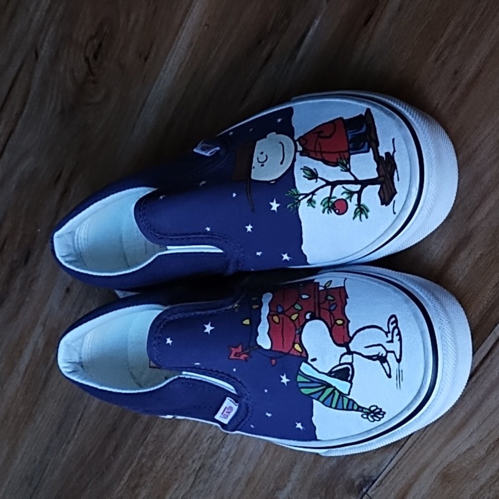 Vans X Peanuts/Snoopy Slip On Shoes